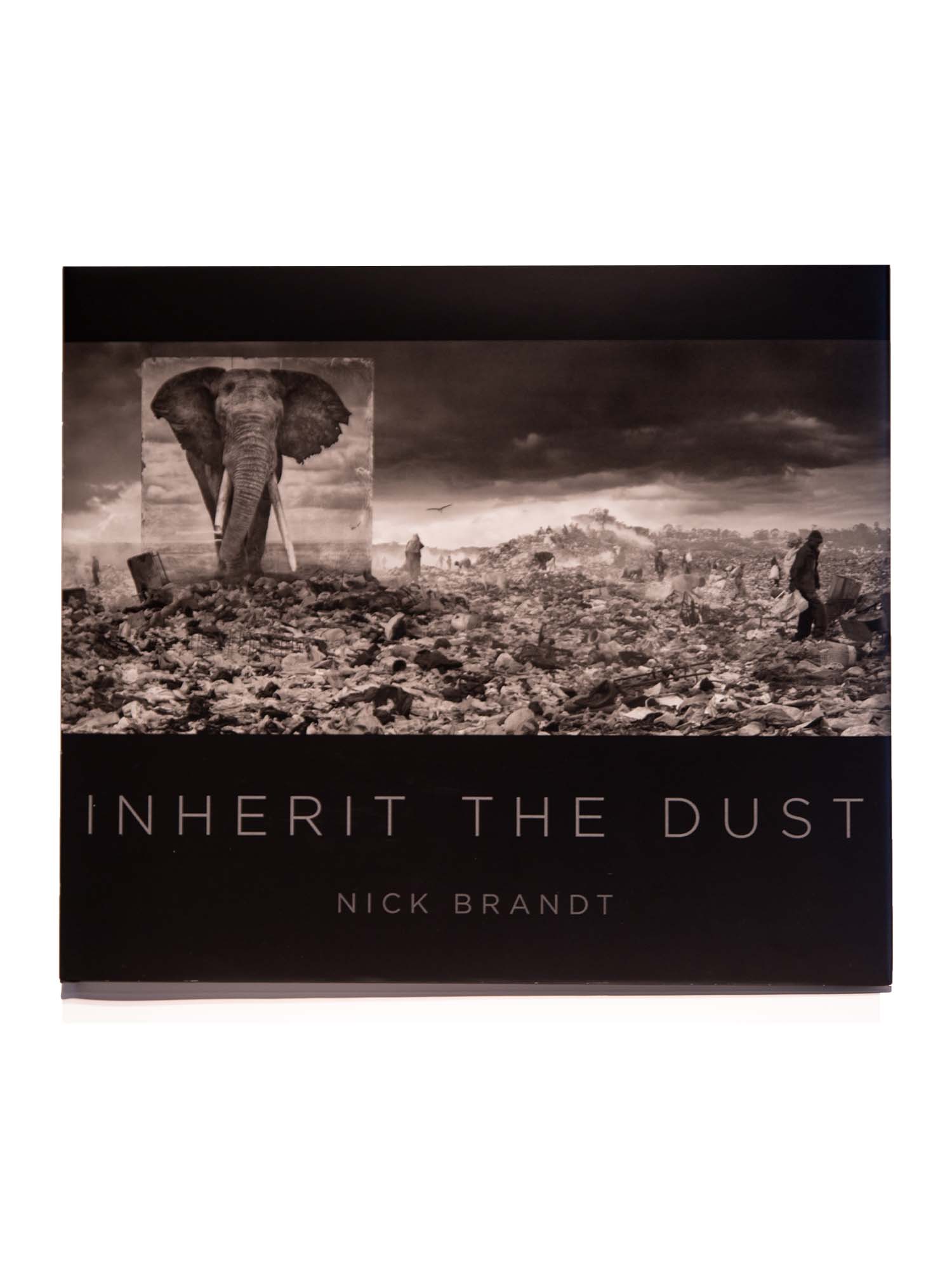 Inherit the dust - Nick Brandt