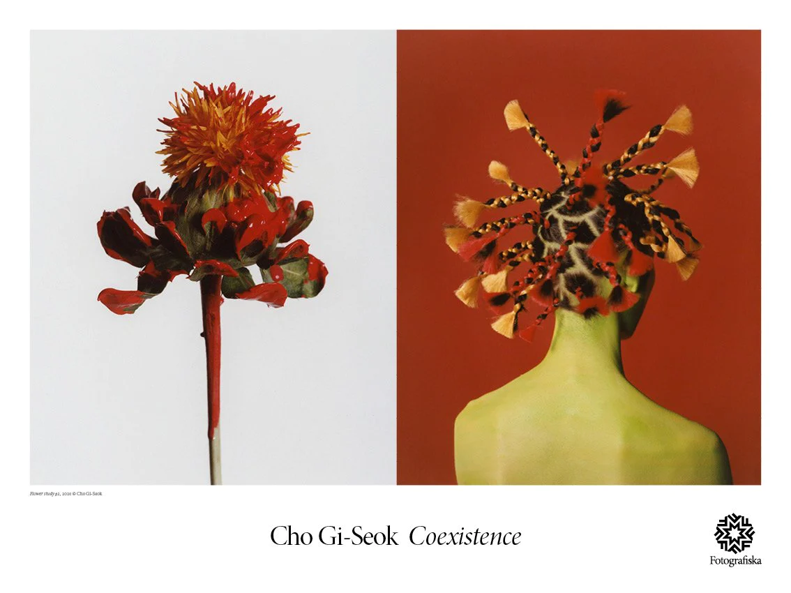 Cho Gi-Seok, Flower study #2 6777